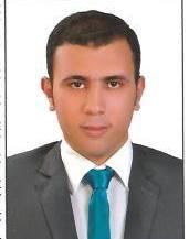 محمد حسين المصرى