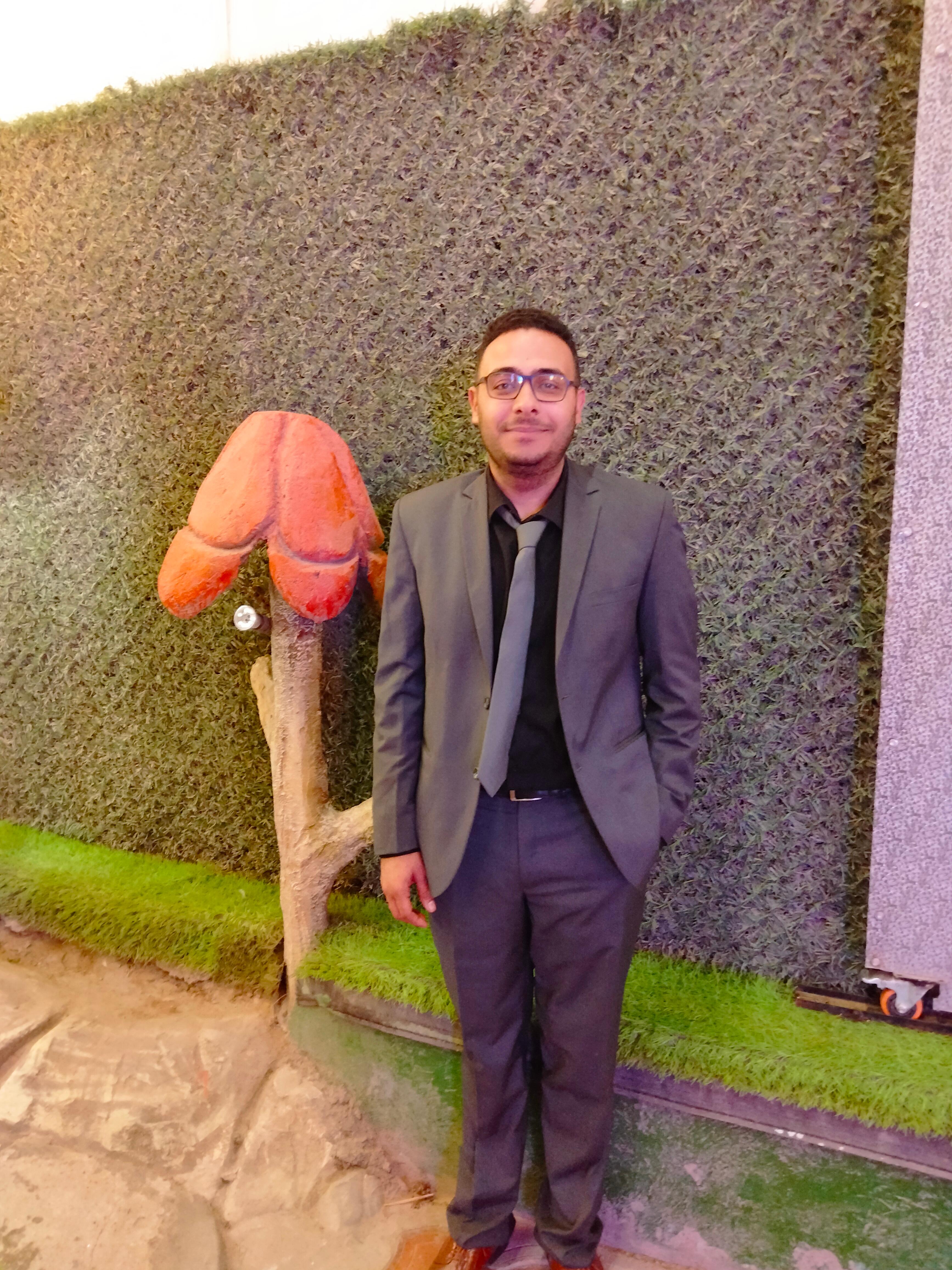 محمد محمود السيد