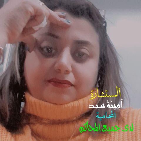 أمينة سيد عبد الغني