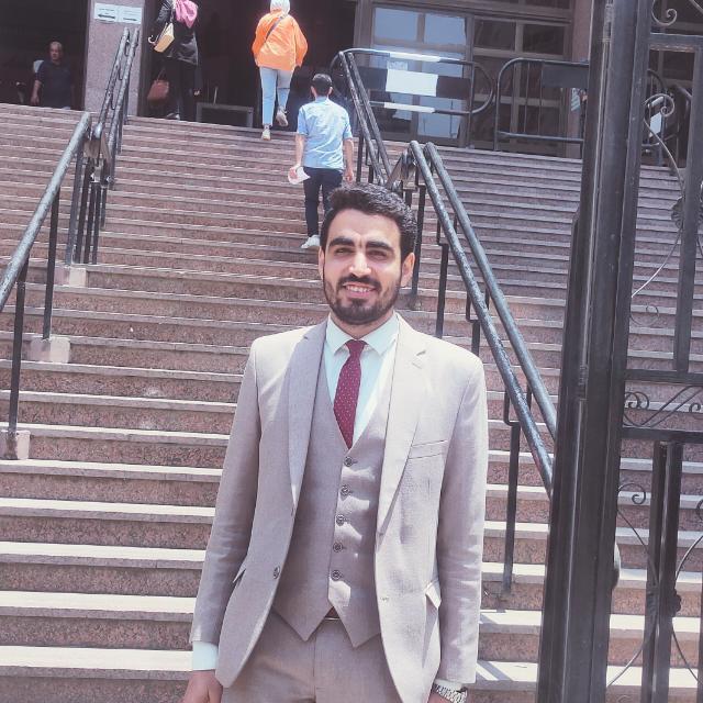 محمد سيد محمد ربيع