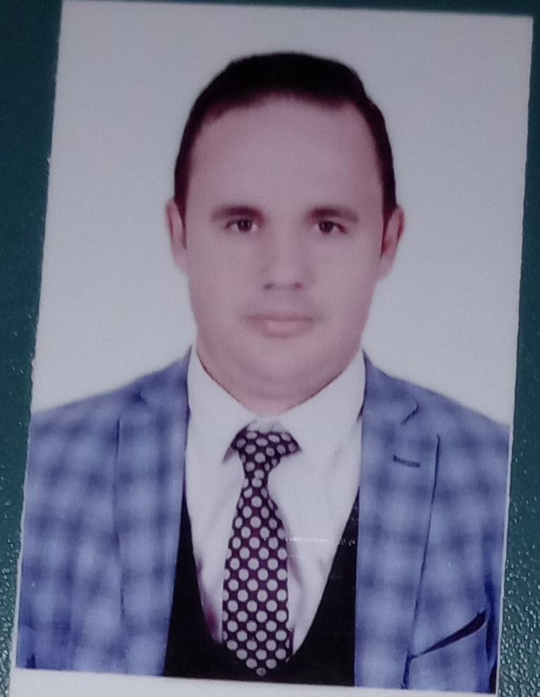 محمد امام لبيب